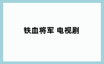 铁血将军 电视剧